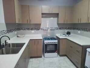 Fridge, oven, stovetop, electric kettle