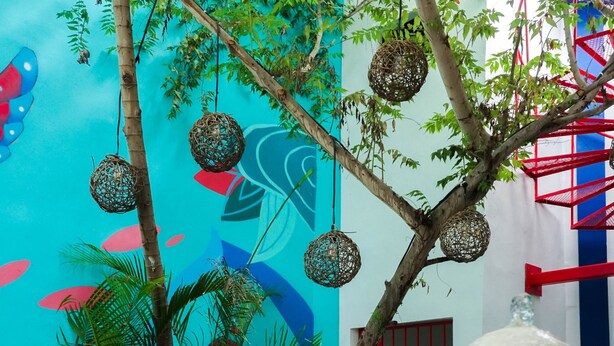 A vibrant indoor garden with a fountain, potted plants, and hanging decorations. - Linda Vecindad Playa del Carmen (Playa del Carmen)