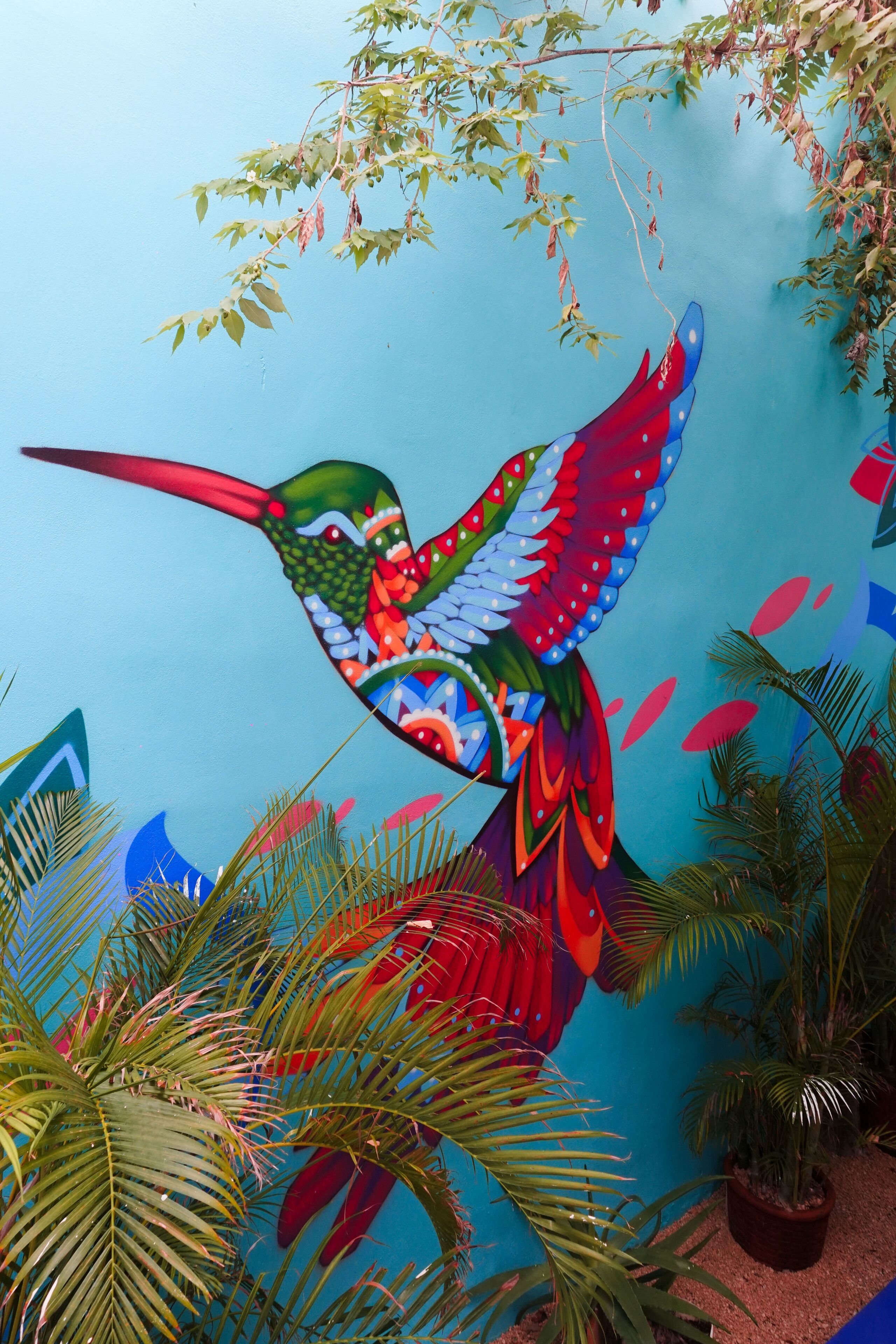 Photo - Linda Vecindad Playa del Carmen