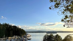 A marina with boats docked, a large cruise ship in the distance, and a forested shoreline.
