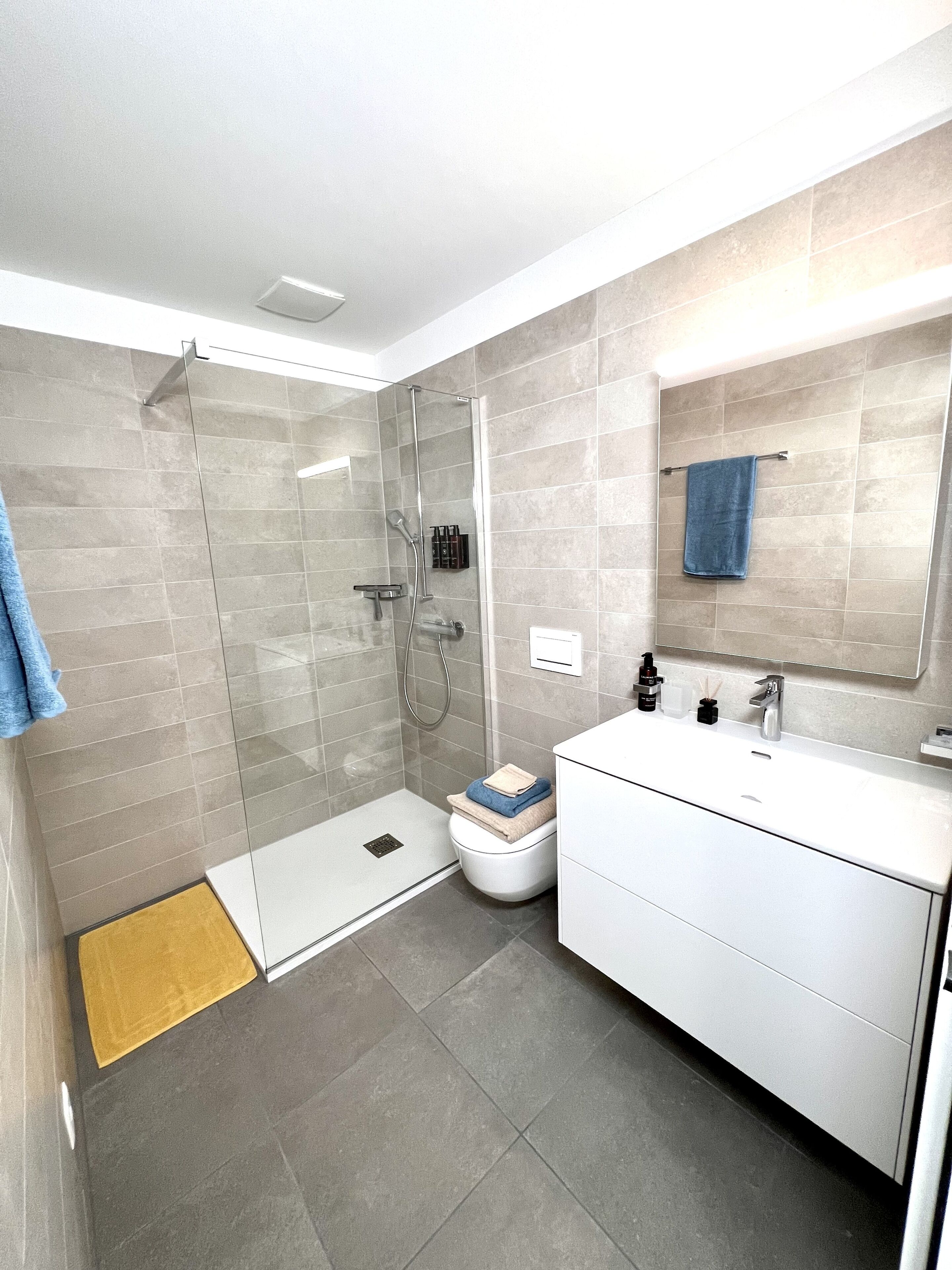 Regadera, amenidades de baño ecológicas, secadora de cabello, toallas 