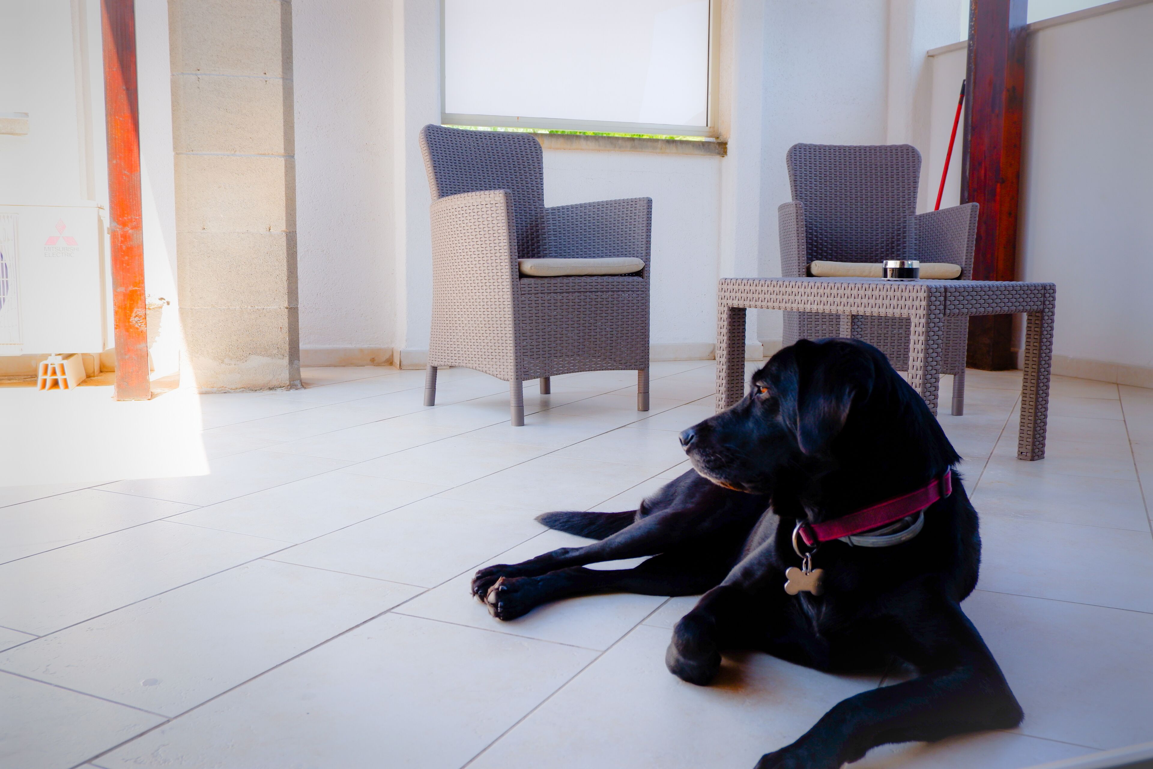 Un perro negro recostado sobre un piso de baldosas en una habitación con dos sillas de mimbre y una mesa.