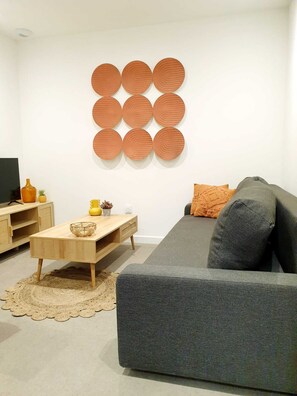 Smart TV, books - The bohemian (Pamiers)