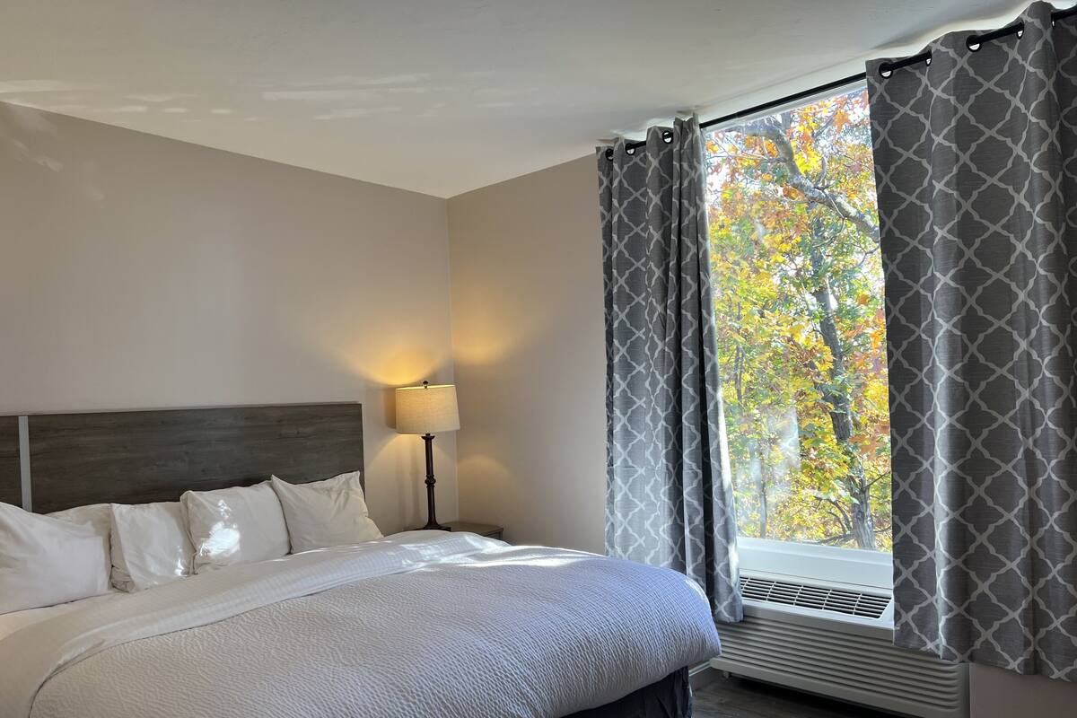 Une chambre d’hôtel avec un grand lit, une table de chevet avec une lampe et une fenêtre avec des rideaux.