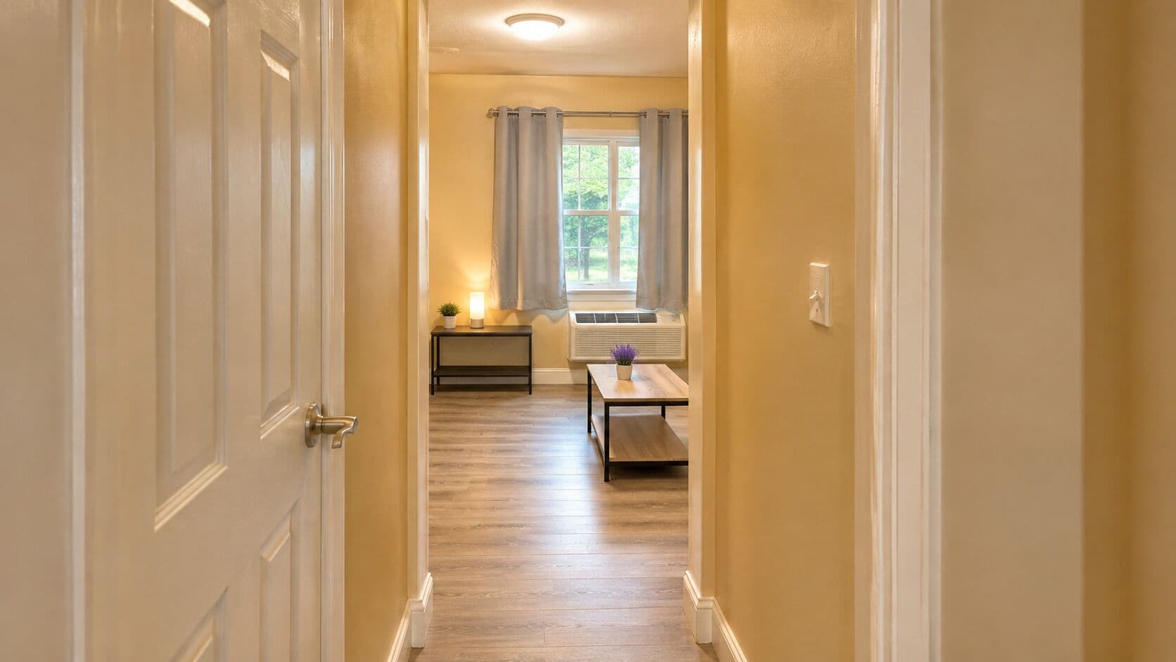 A hallway with a door on the left, a window with curtains, a table with a plant, and a radiator.