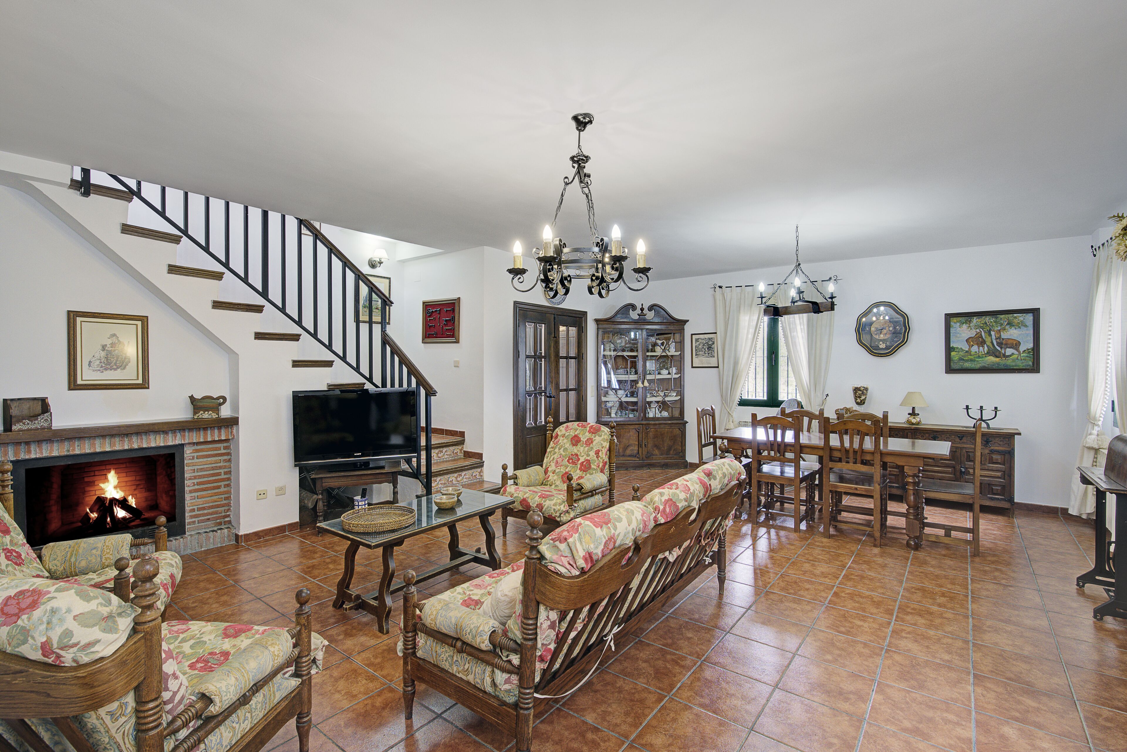 Televisie, een open haard en boeken