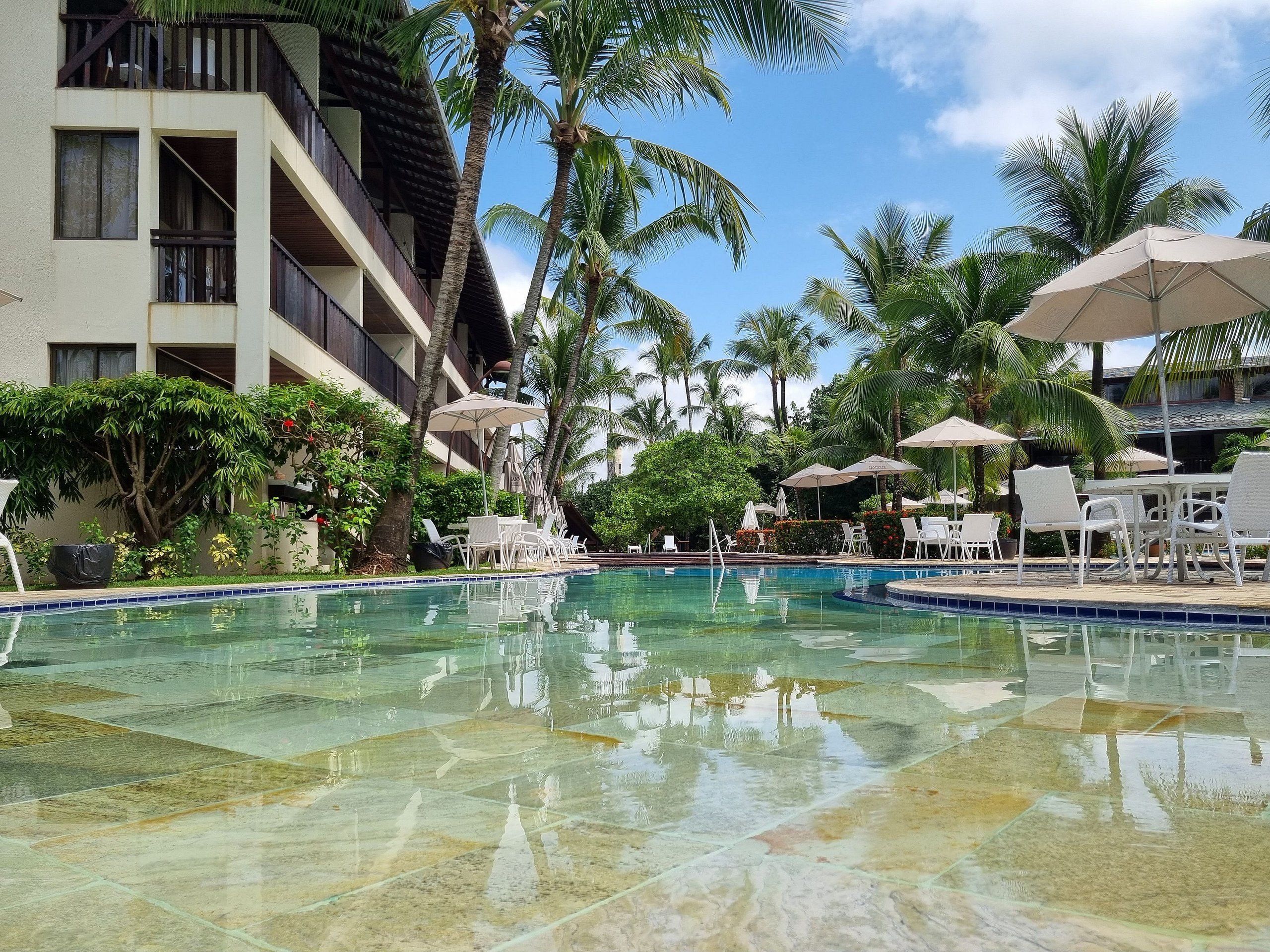 Un espace piscine avec une eau cristalline, entouré de palmiers et de chaises longues.