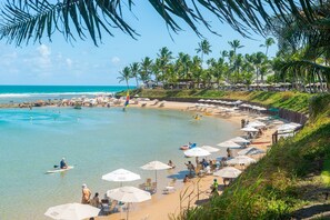 Une plage avec des parasols, des chaises et des palmiers.