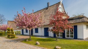 A traditional building with a thatched roof, white walls, and blue shutters. There are flowering trees in front of the building.