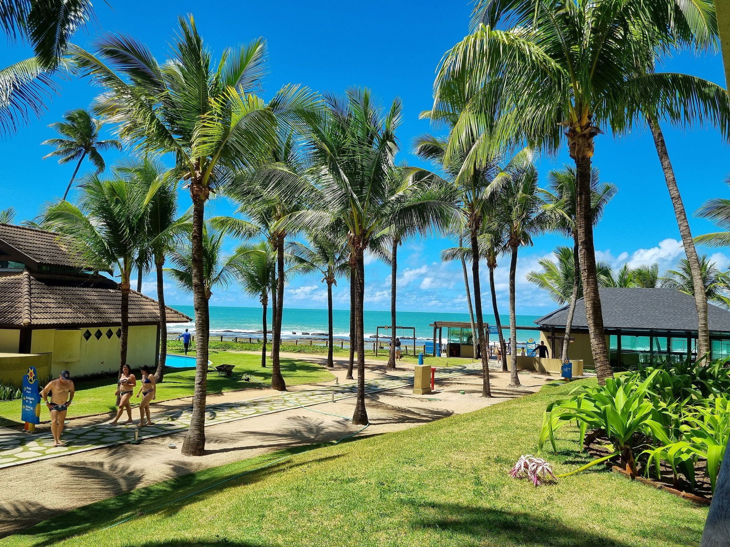 Un resort con palmeras, piscina y vista a la playa.