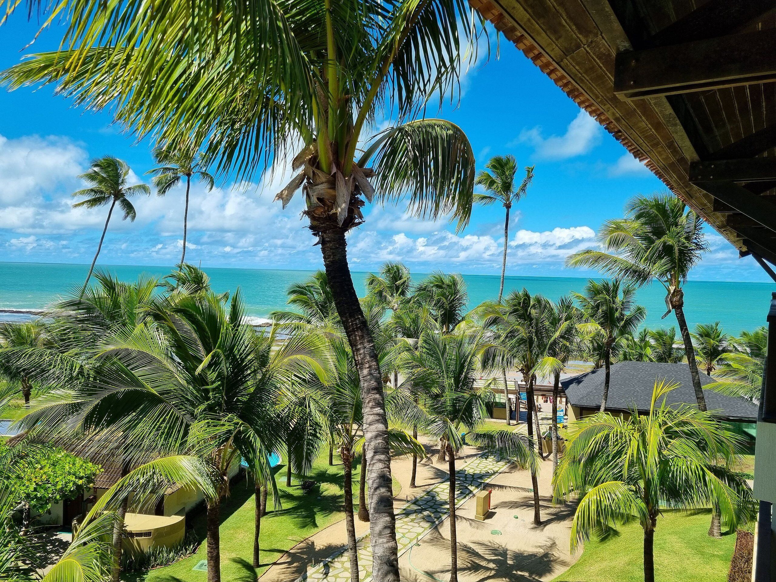 Un resort tropical con palmeras, vista a la playa y una estructura de techo de paja.