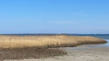 Enjoy a serene coastal escape with a natural barrier of reeds separating the shore from the calm waters.