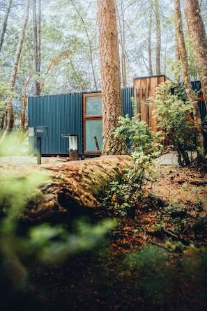 Front of property - Outscape Fuy (Panguipulli)