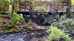 A wooden bridge over a flowing stream surrounded by dense greenery.