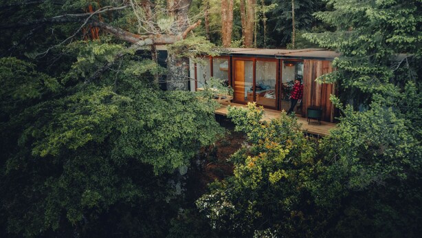 A cabin in a forest with a glass door entrance, surrounded by dense trees.