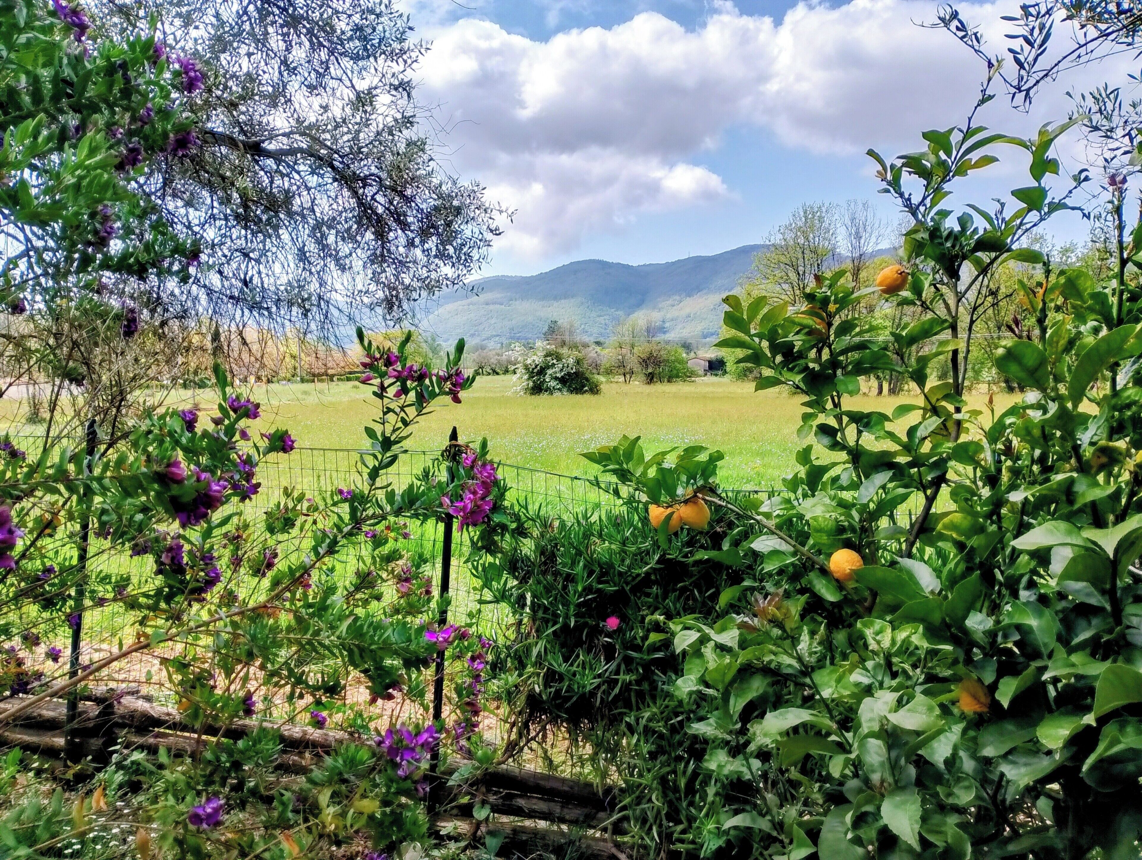 Parco della struttura