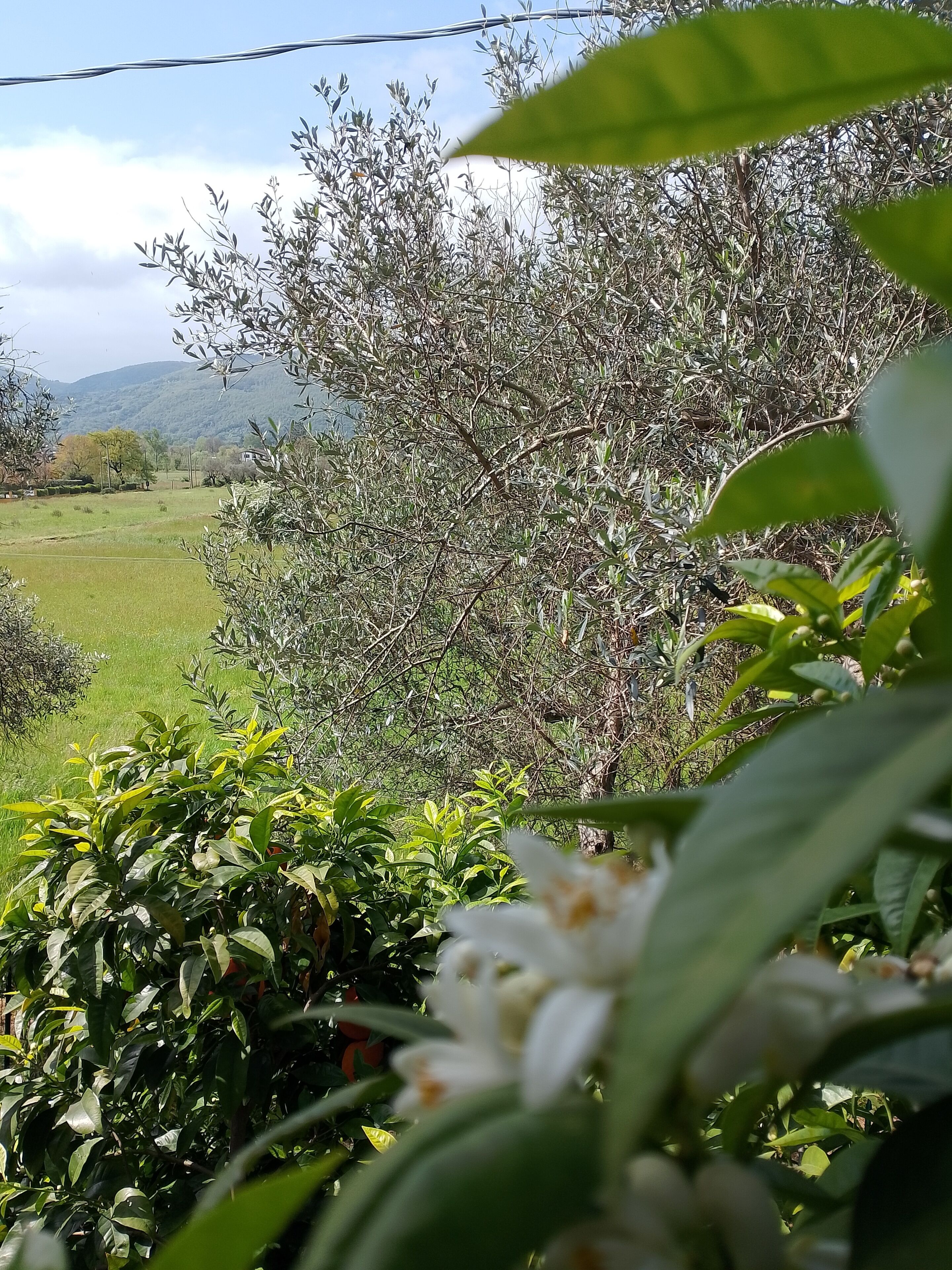 Parco della struttura