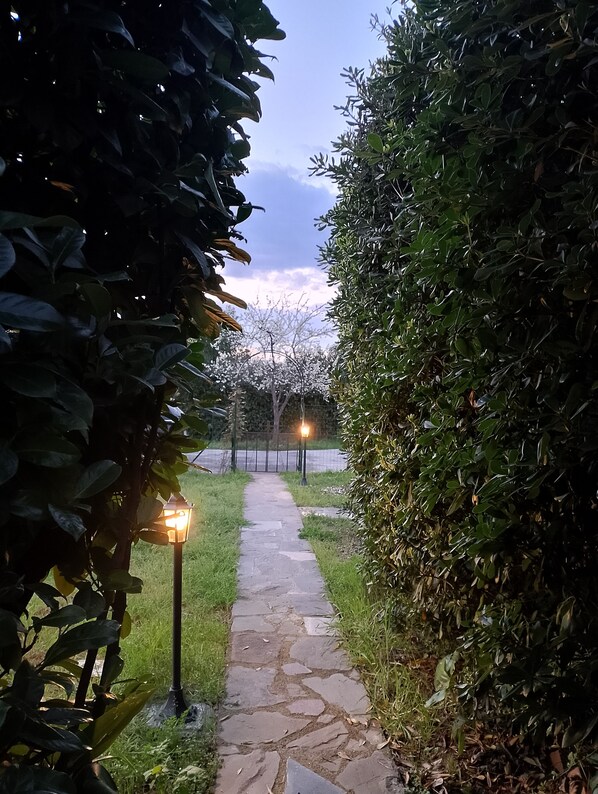 Property grounds - Between the Cinque Terre and the Apuan Alps. (Sarzana)