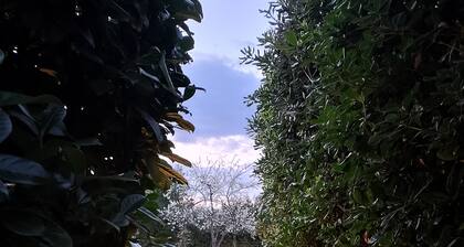 Between the Cinque Terre and the Apuan Alps.