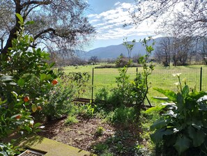 Property grounds - Between the Cinque Terre and the Apuan Alps. (Sarzana)