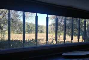 Interior - Between the Cinque Terre and the Apuan Alps. (Sarzana)