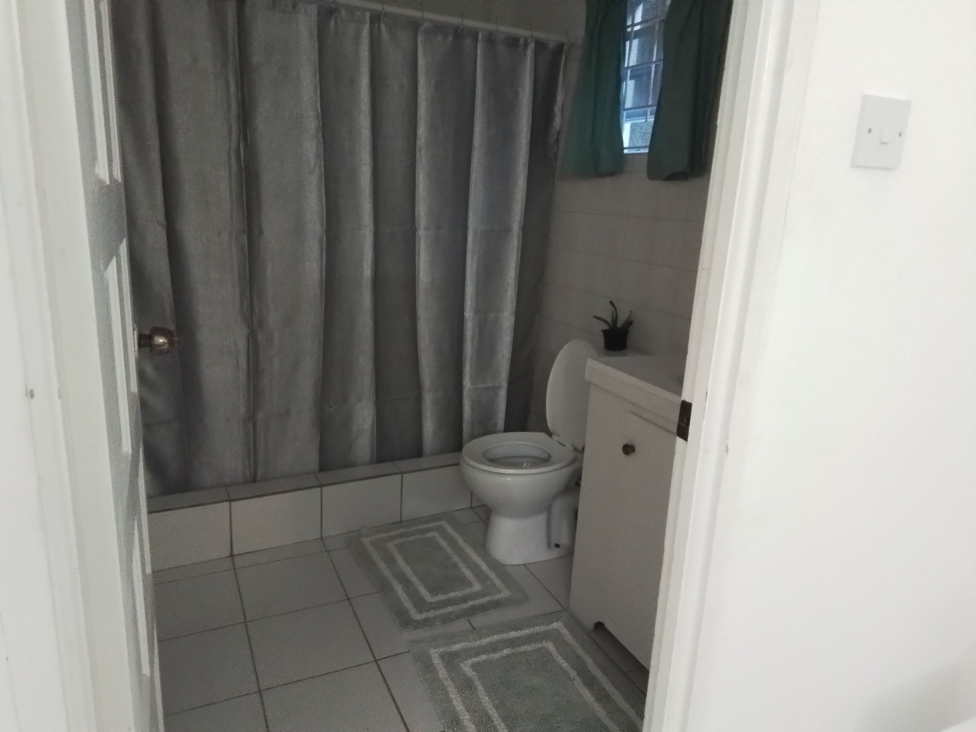 A bathroom with a shower curtain, toilet, and a small potted plant on the wall.