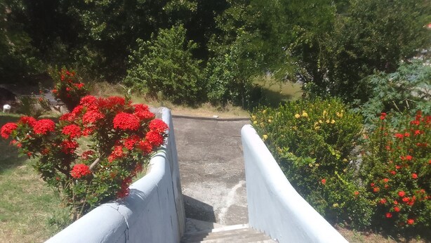 Un pont en béton, doté de garde-corps blancs, entouré de verdure et de plantes en fleurs.