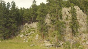 A rocky terrain with scattered trees and a clear sky.
