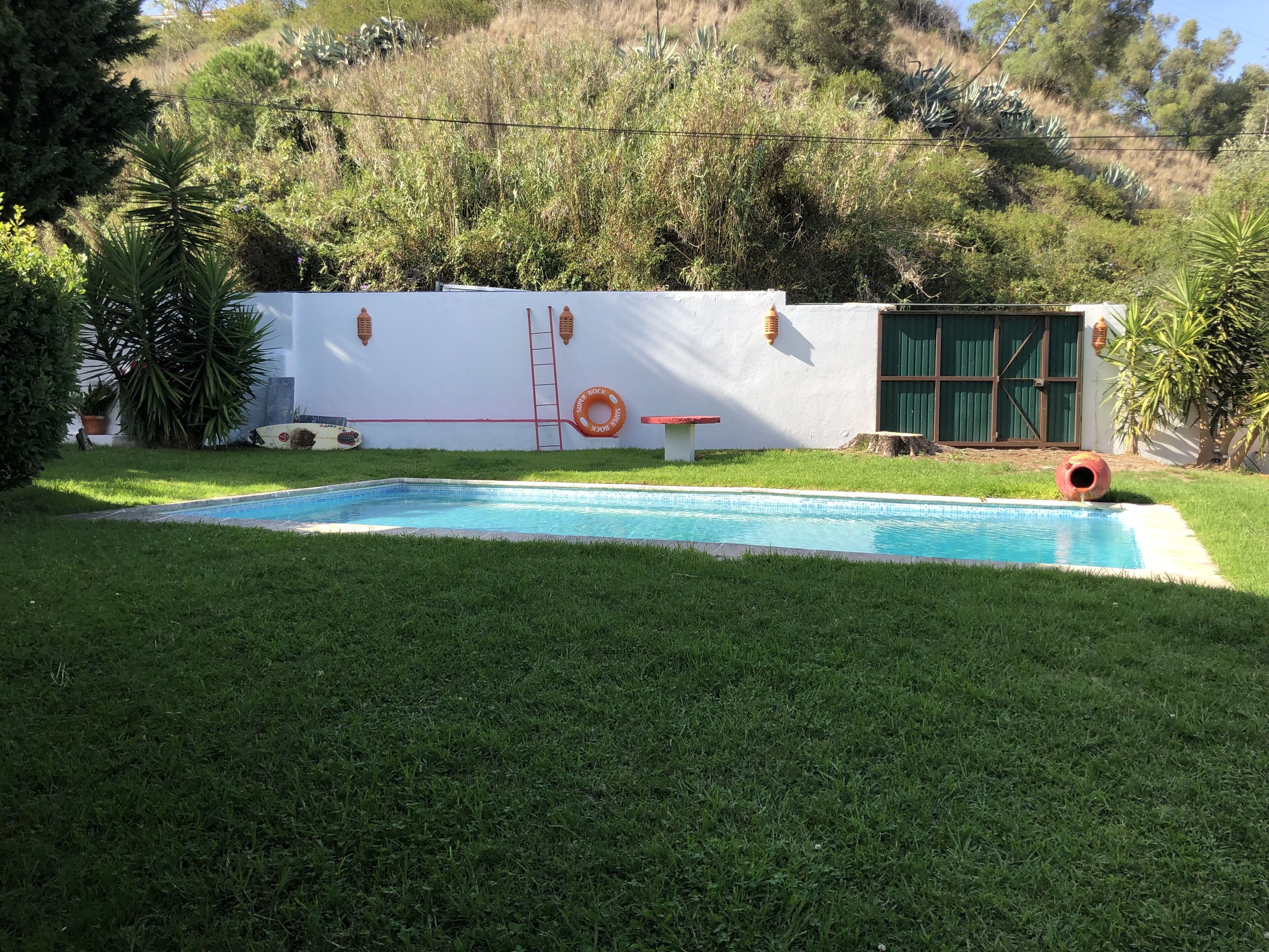 Une piscine avec un mur blanc et une échelle, entourée d’herbe verte et d’arbres.
