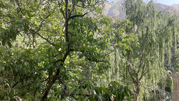 Unclassified image, 1 of 13, button - The Best Apartments of Ourika valley (Sti Fadma)