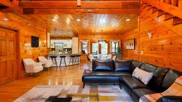 TV connectée, cheminée, espaces bureaux