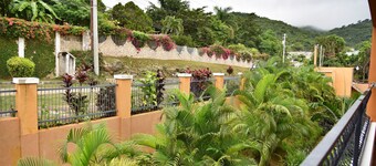 Cozy & Private Retreat -- overlooking mountain and sea views