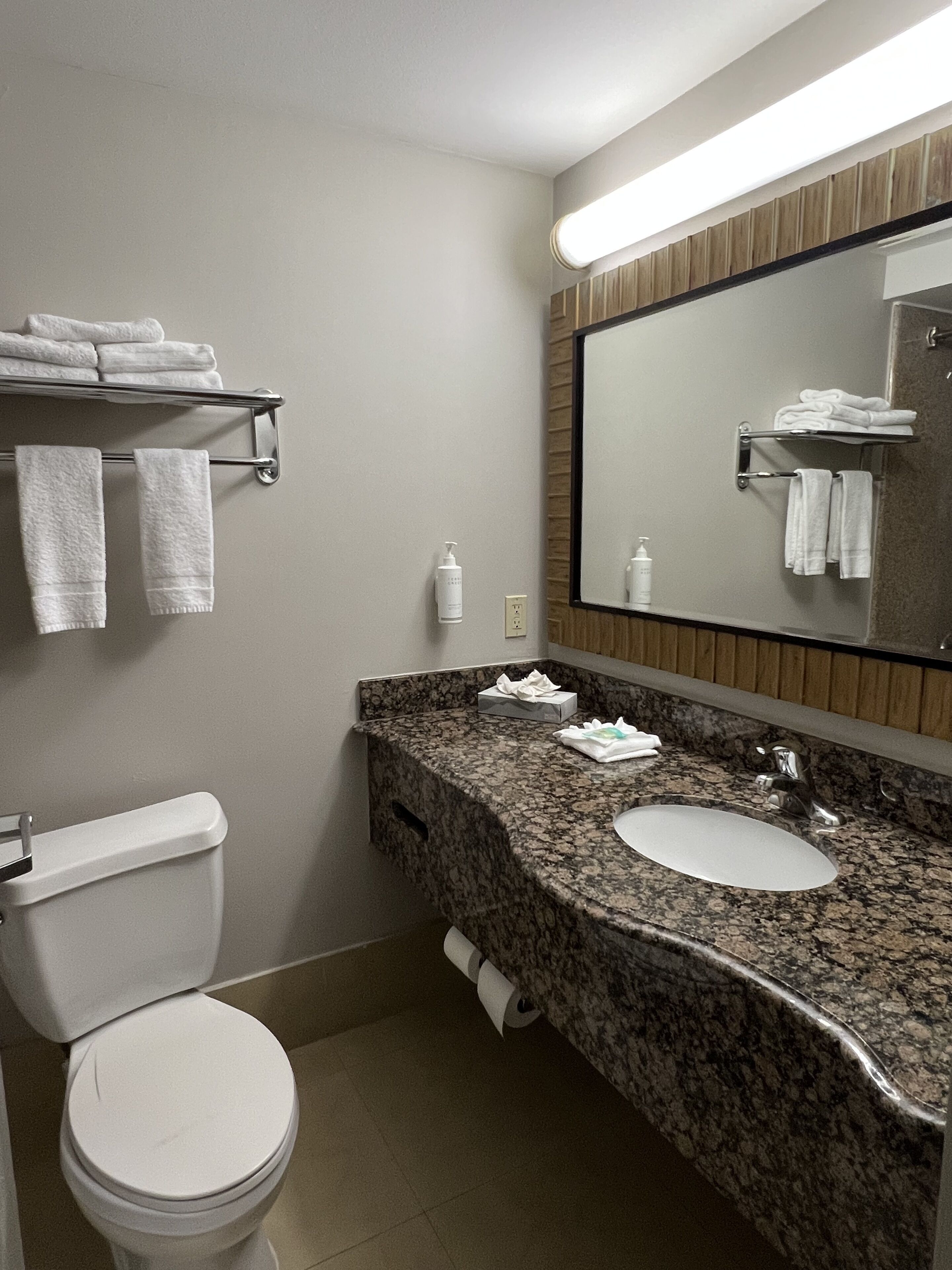 Un baño con inodoro, lavamanos y toallero.