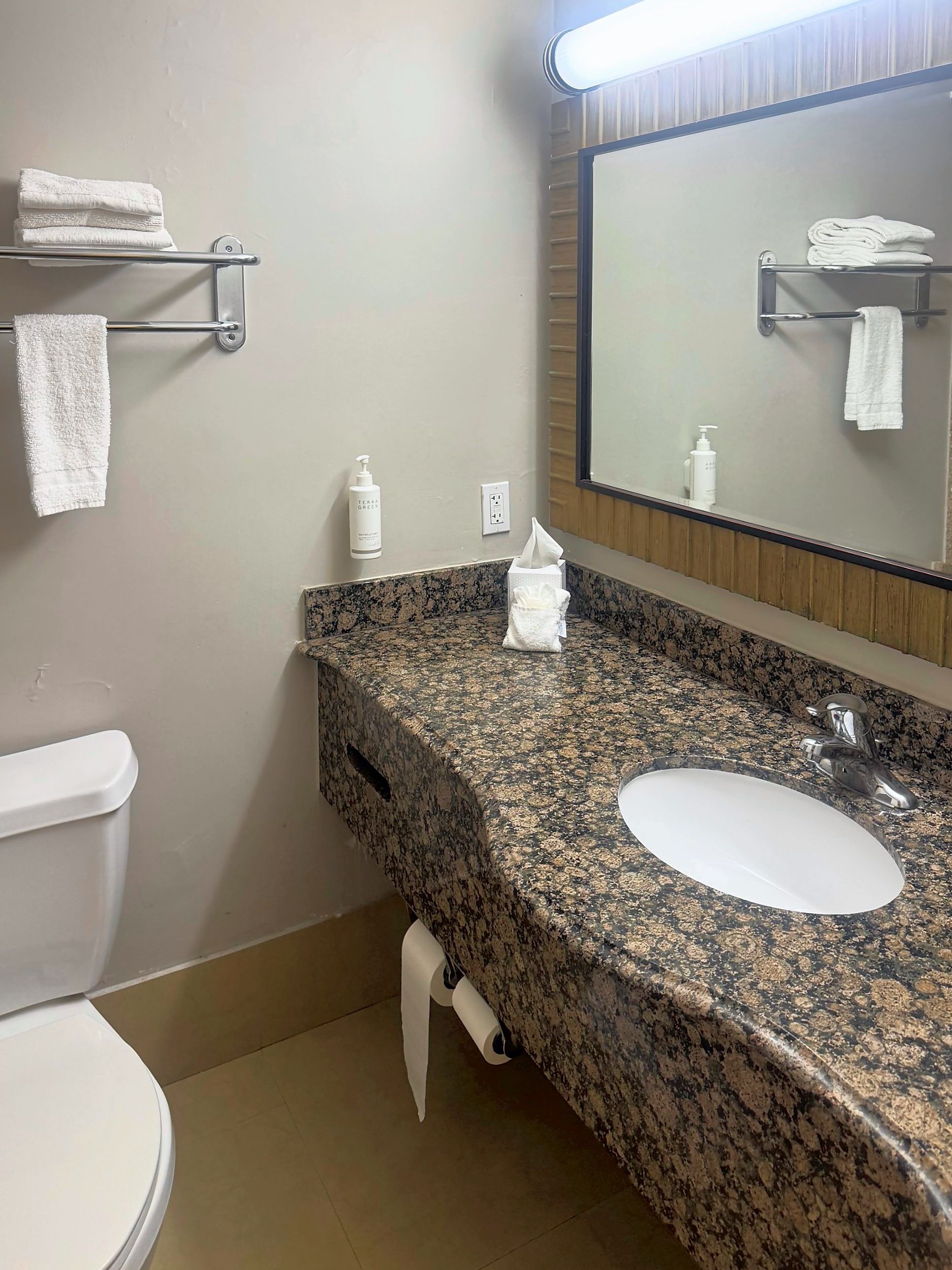 A bathroom with a granite countertop, a sink, a toilet, and a towel rack.