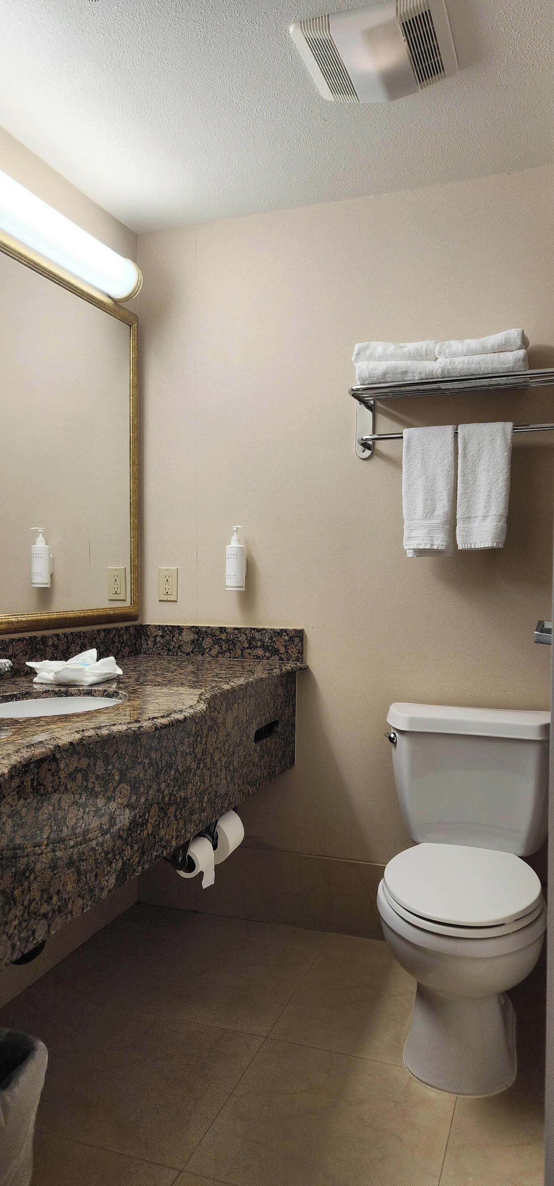 A bathroom with a granite countertop, a sink, a mirror, a toilet, and a towel rack.
