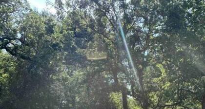 The Creek side Cozy Home