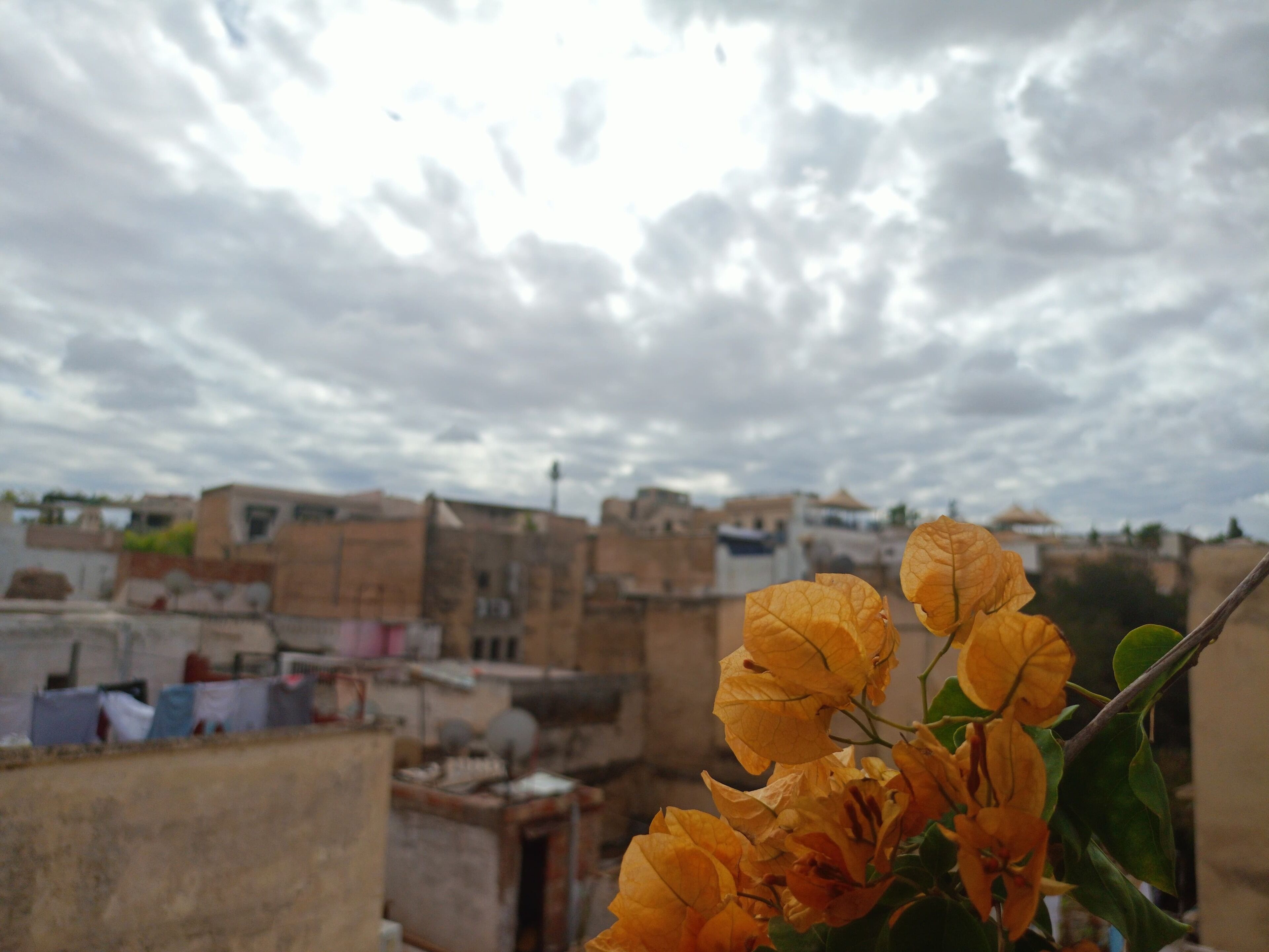 Foto - Riad Dar Lalj Fes