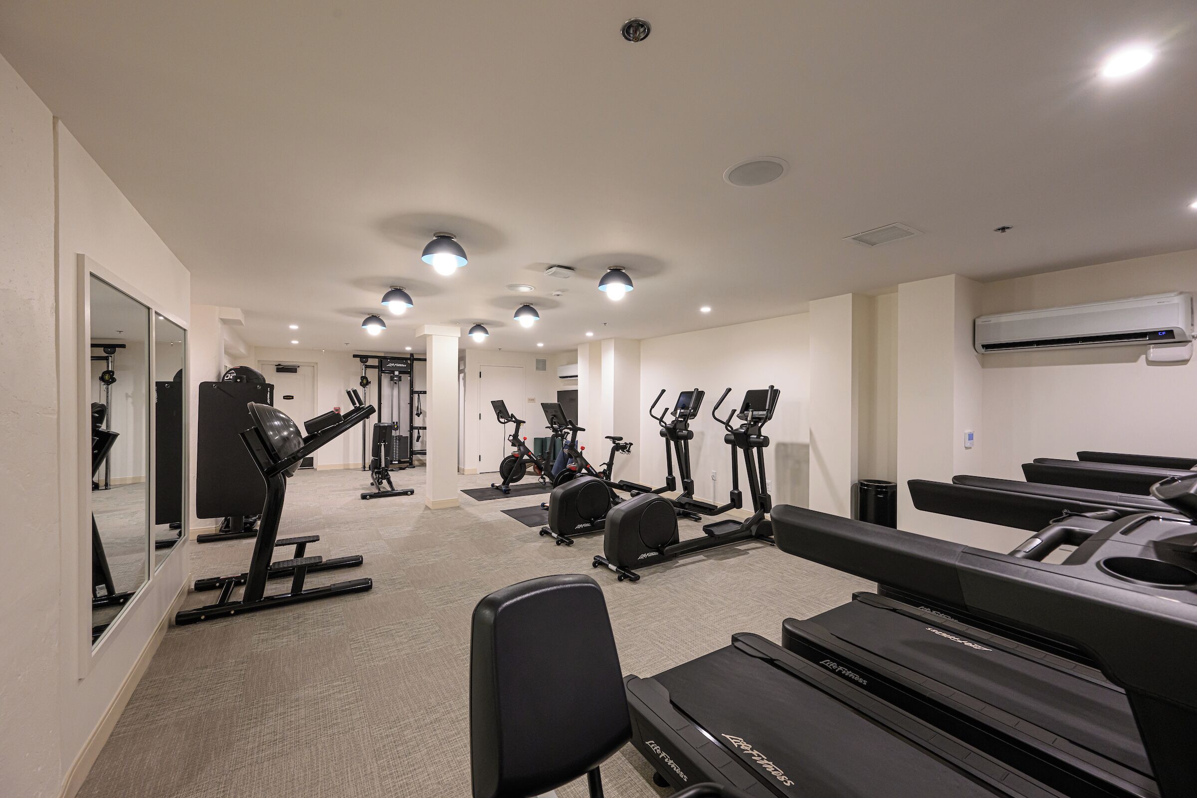 A gym with treadmills, elliptical machines, and free weights.