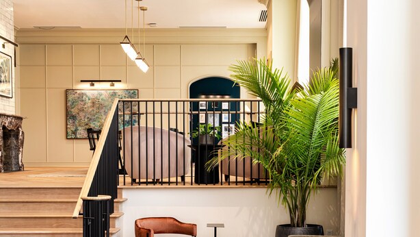 Un vestíbulo amplio con una escalera, una zona de estar y una planta en maceta grande.