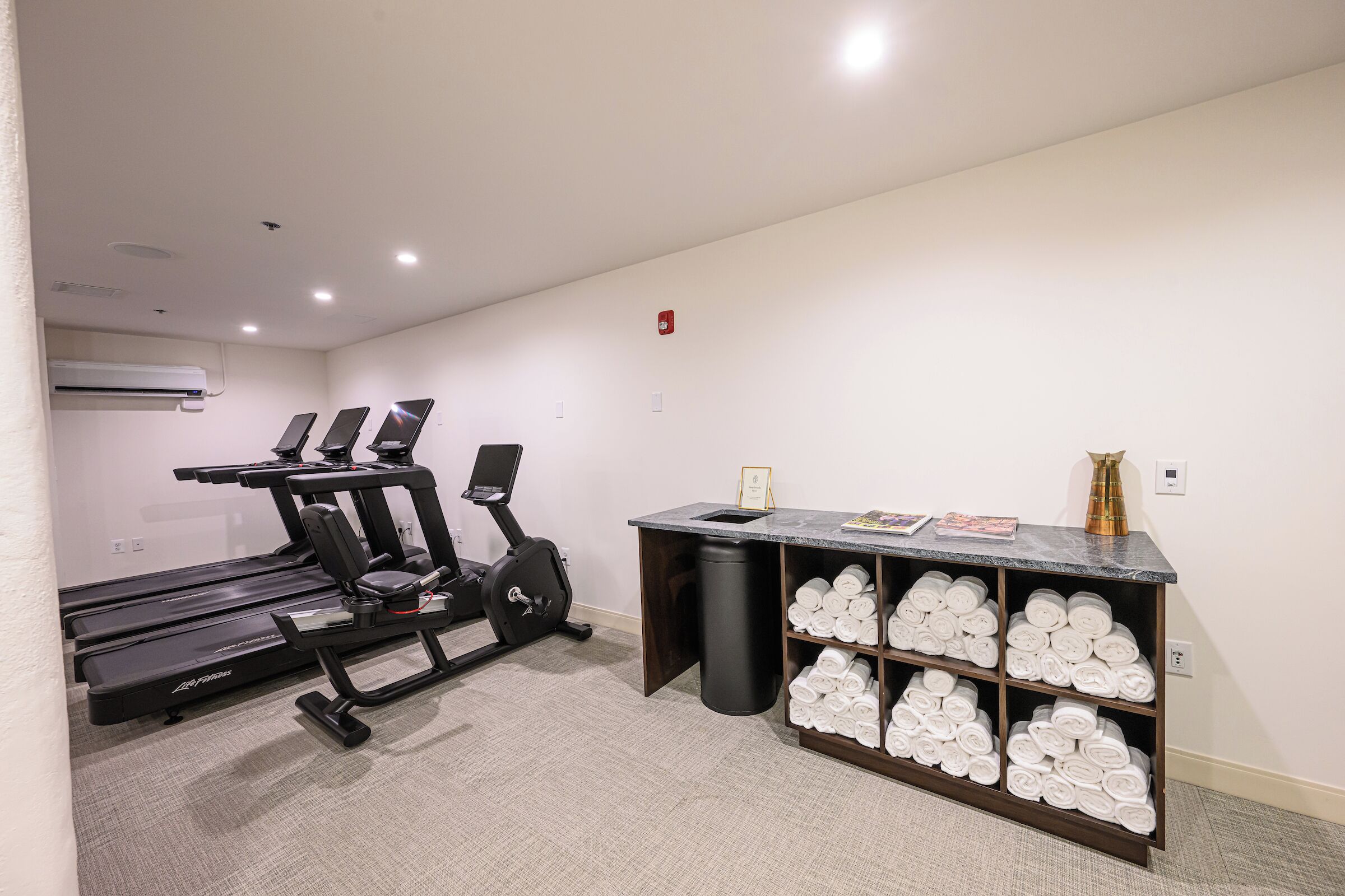 A gym with treadmills, an elliptical, and a weight bench. There is a trash can and a towel rack with towels.