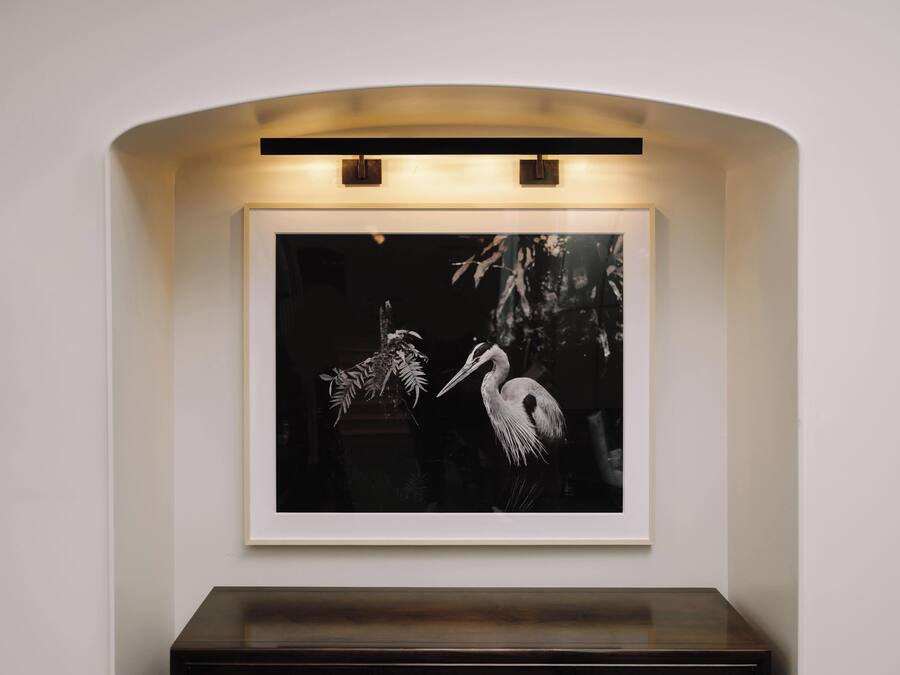 A framed black and white photograph of two birds on a wall.