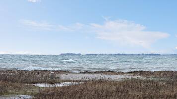 Beach nearby, fishing