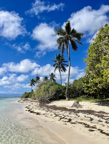 Appart au Helleux, proche des spots de surf et de kite surf