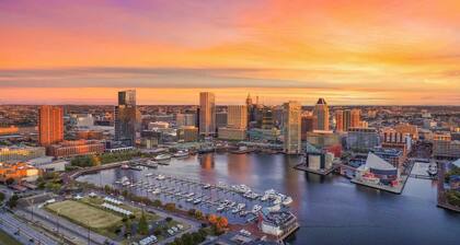 Baltimore Beauty! Johns Hopkins!