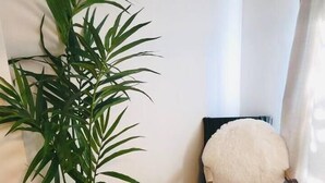 A corner of a room with a large potted plant, a fluffy white cushion, and a wooden chair with a cushion. - Baltimore Beauty! Johns Hopkins! Private Parking! (Baltimore)