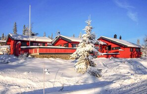 Ulkopuoli
