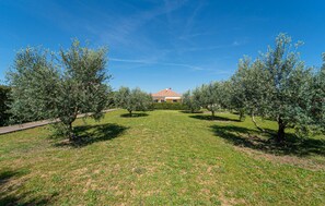 Property grounds - Awesome home in Visocane (Visocane)