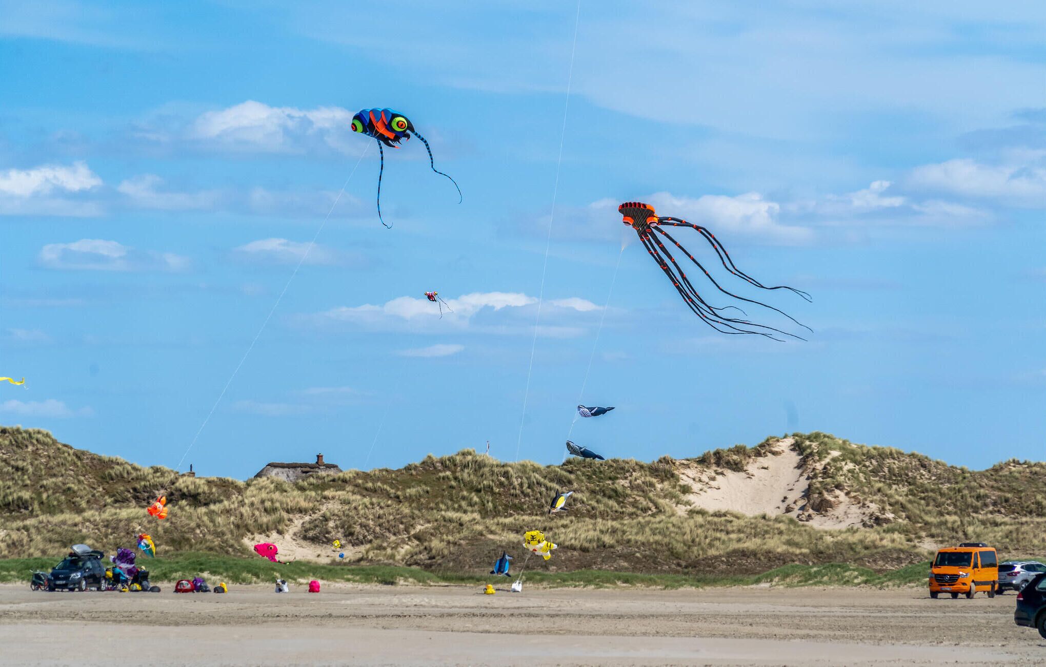 A beach with several kites flying in the sky, a sandy area with parked cars, and a hill with sparse vegetation in the background.