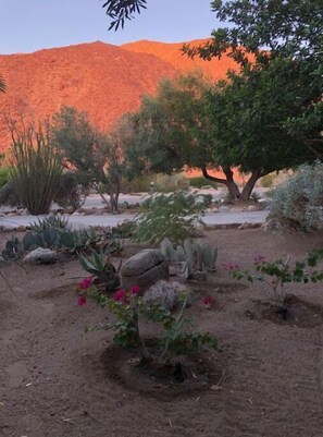 Overnattingsstedets uteområder