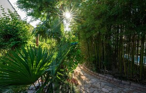 Stroll along the garden pathway lined with lush greenery and bamboo, leading to a shaded area.